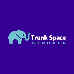 Trunk Space Storage